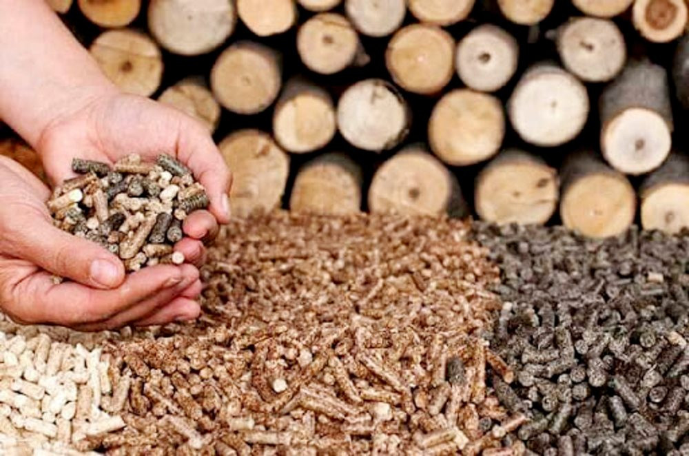 REFUSE DERIVED FUEL (RDF)